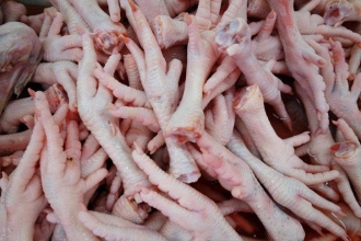 深圳鹽田進口白俄羅斯雞爪清關流程代理冷凍肉案例